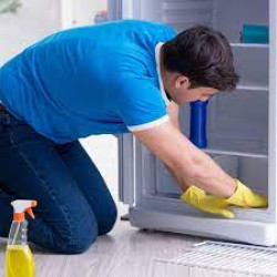 Fridge Deep Cleaning